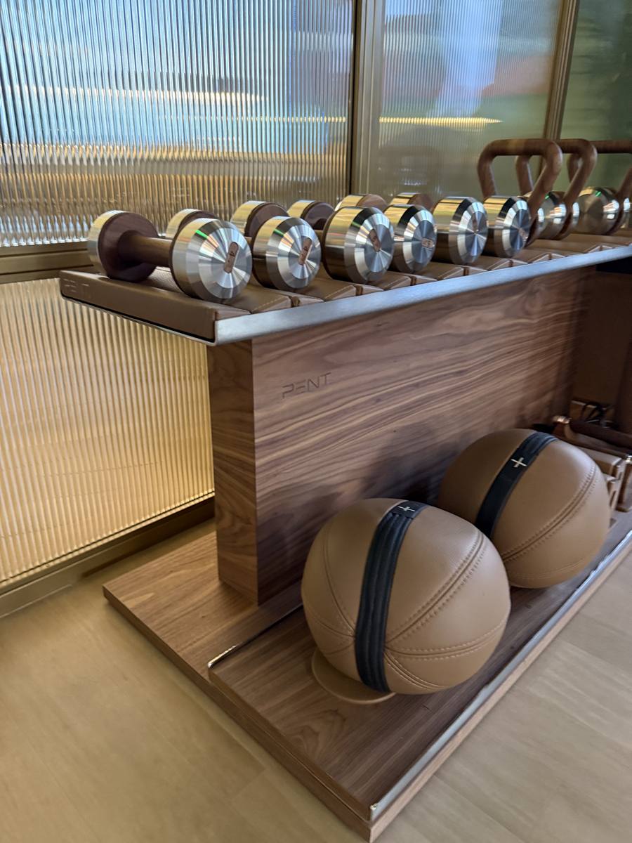 Detalles de gimnasio con pesas de bronce y balones medicinales de cuero — Casa Tua Residences